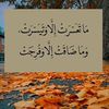 m_h_a_m_a_d__08