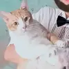 aye.nwal0