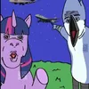 rarijack12445