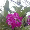 tuongvy98.tuongvy.98
