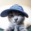 SoftPawz