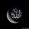Pemuda Hijrah🇸🇦🕊️