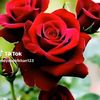 miss.runa98