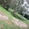 ilovemypookies592