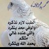 user93115091003430
