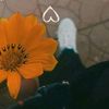 haifaa.zkahe6