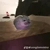 luongdamvietna