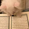 quran_taha
