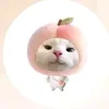 assmycheese