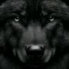 hamzs.hamza7