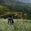 nhincaideogi423