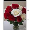 user045238468
