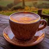 amateurs.de.cafe