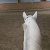 wilmaaa248