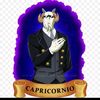 capricornio1416