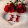 hmady.altrhone