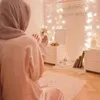 shanzyofficial804