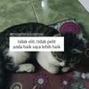 _jumadenn