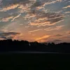 liviascherrer4