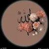 user591976861311