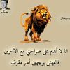 user5547754362906