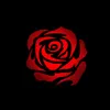 nguyenduy_2903
