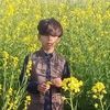 shahidbalouch537