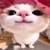 rafciogamer