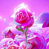 user55028363908002