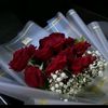 user3140212141717
