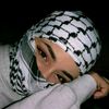 noor49302