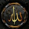 reidbadr0