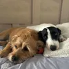 l0ve.y0u.all.sm