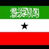 marwa.argsan