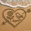 user1944313497551