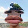 james_zz17