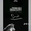 zx_orbb202