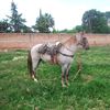 user6022614883173