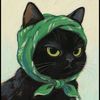 gatostv5