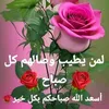 user7363341739686