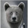 bearwarrior50