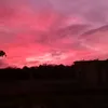 alessandra.santos4467