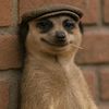 lord_of_toto