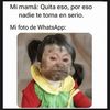 israelvaldivieso0
