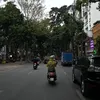 nhuuyen010