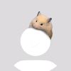 darr_8629