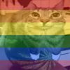 crittergamingfr