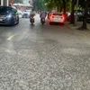 taodangchupanh20
