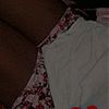 la_darle0880