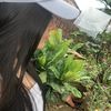fernanda.210_2
